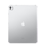 iPad Pro