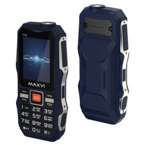 P100_blue_main